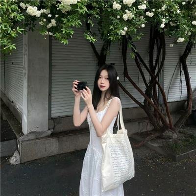 大象菩提
