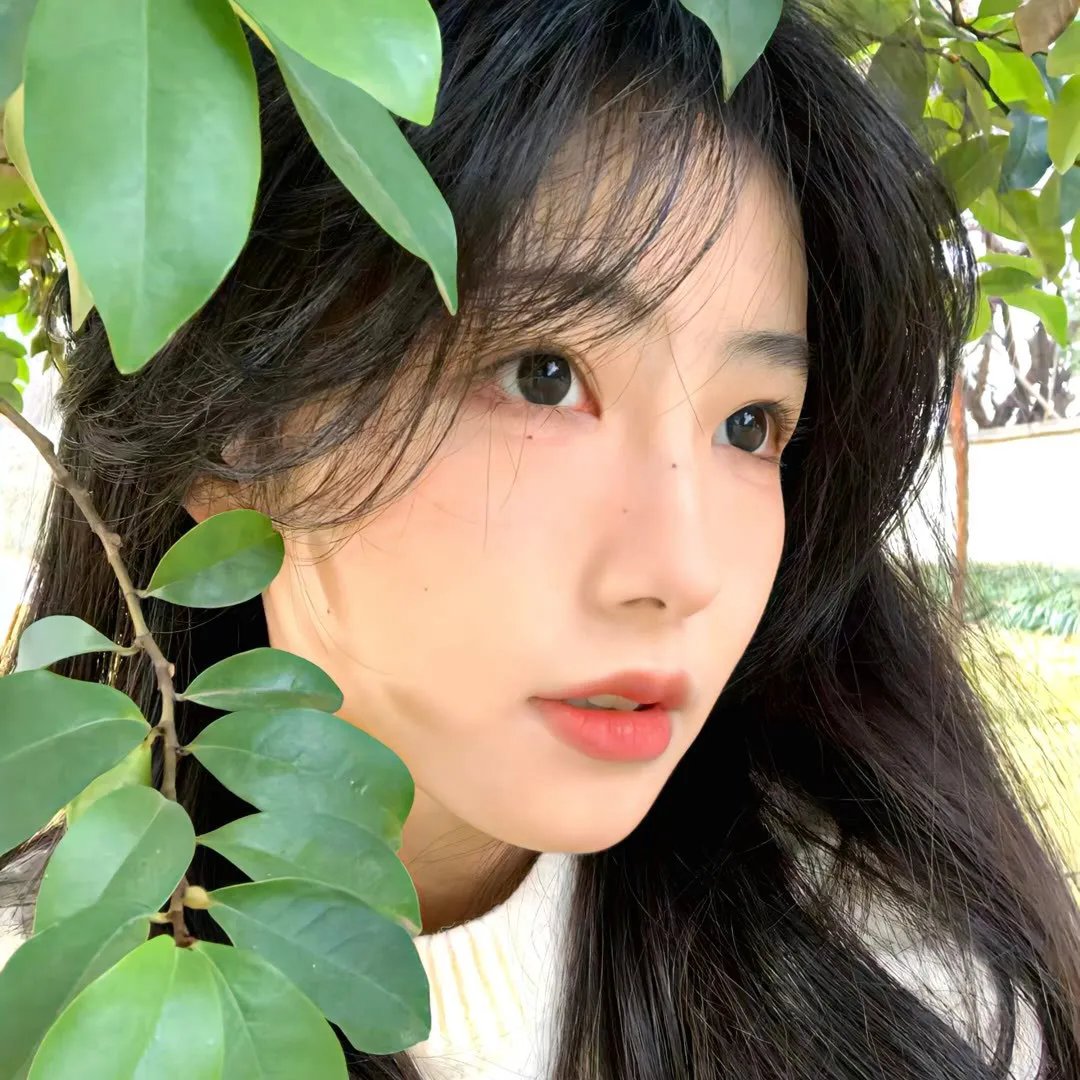 午夜天鹅